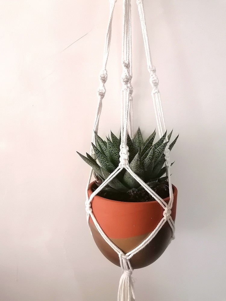 suspension plante en macrame